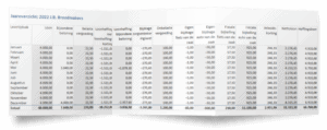 Jaaroverzicht salarisadministratie dga Excel