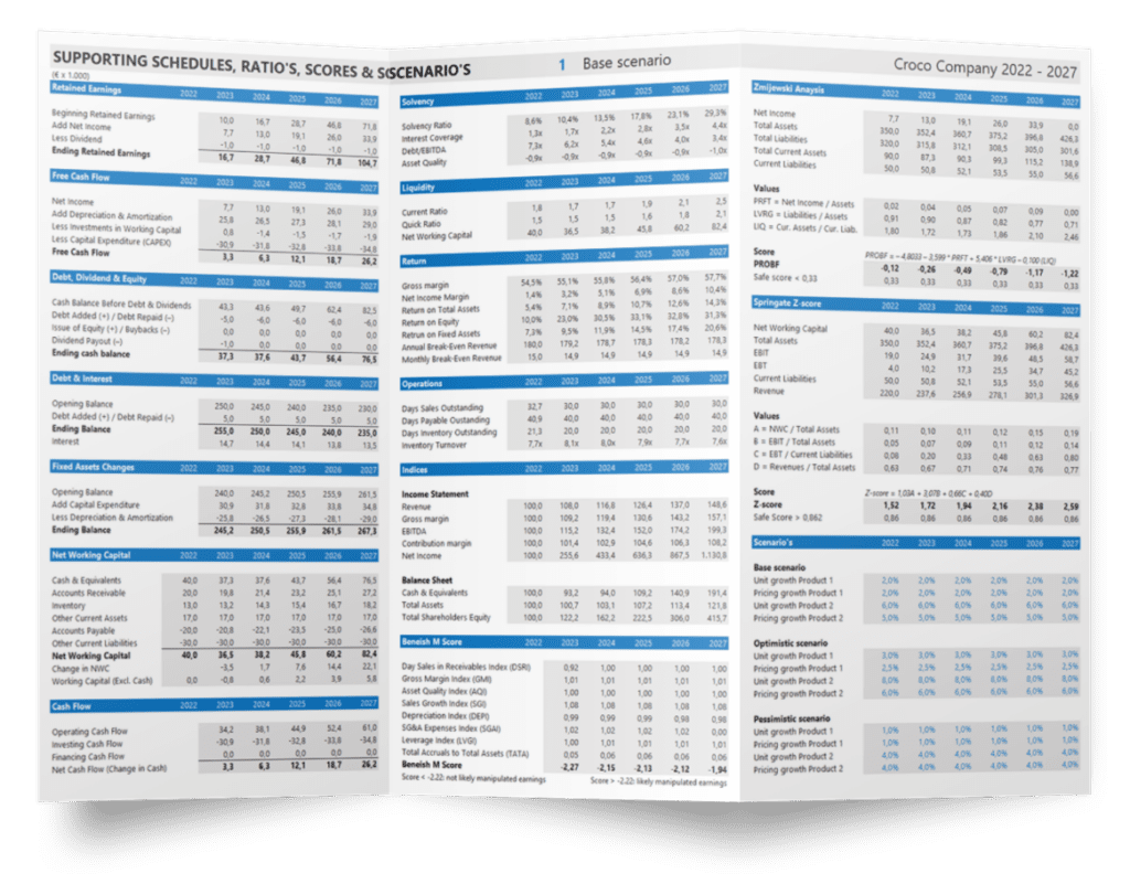 Business Finance & Valuation Model in Excel op 1 A4. - achterkant