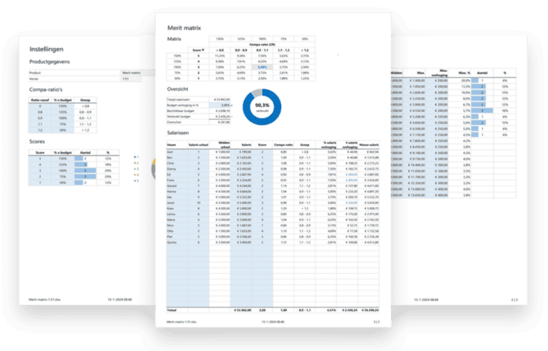 Merit Box Matrix Example Merit Matrix - kant-en-klaar rekenmodel in Excel