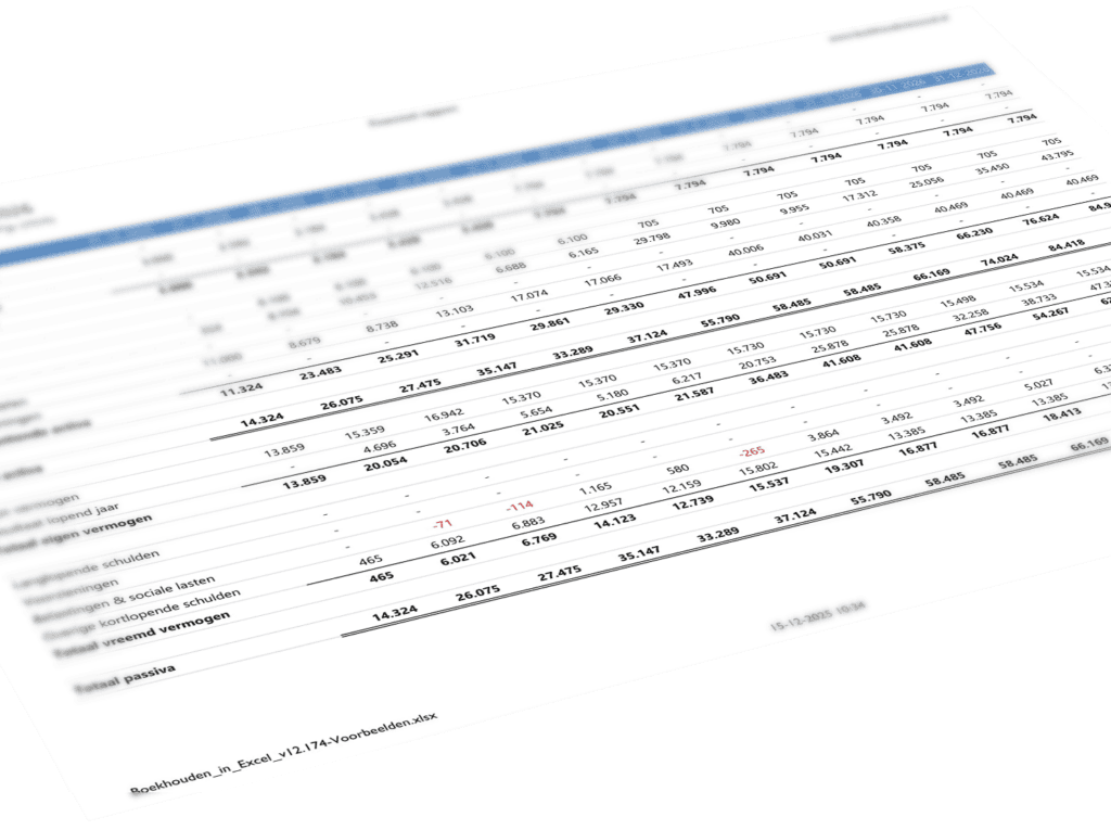 Boekhouden in Excel v12 - financieel rapport