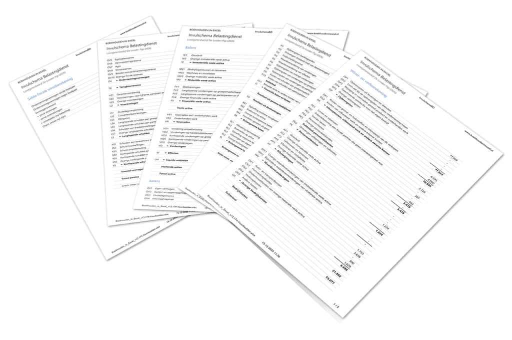 Boekhouden in Excel v12 - invulschema belastingdienst ook voor bv's geschikt